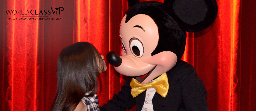 Disney Character Meet and Greets - World Class VIP - Book Now a Tour!
