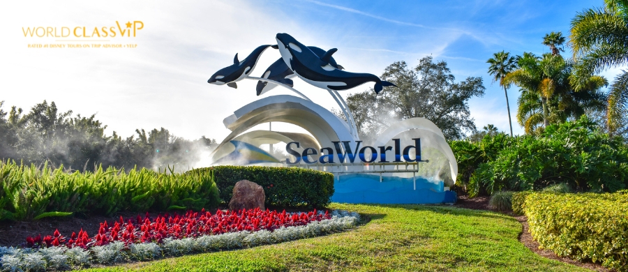 seaworld-new-attractions