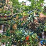 8 Great Attractions to Check Out at Animal Kingdom