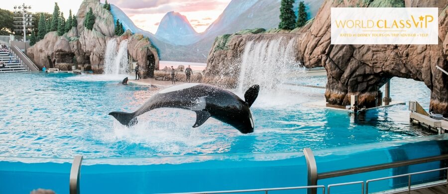 does-seaworld-still-have-orca-shows