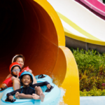 Guide to Disney’s Typhoon Lagoon Water Park