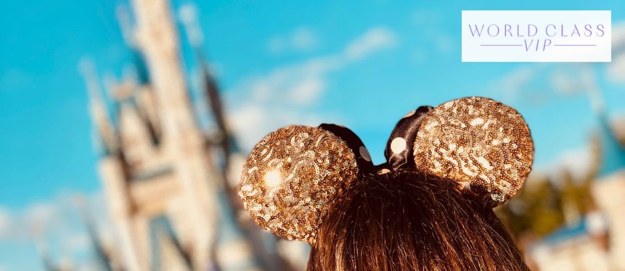 Why a Virtual Disney VIP Guide Beats Going Alone