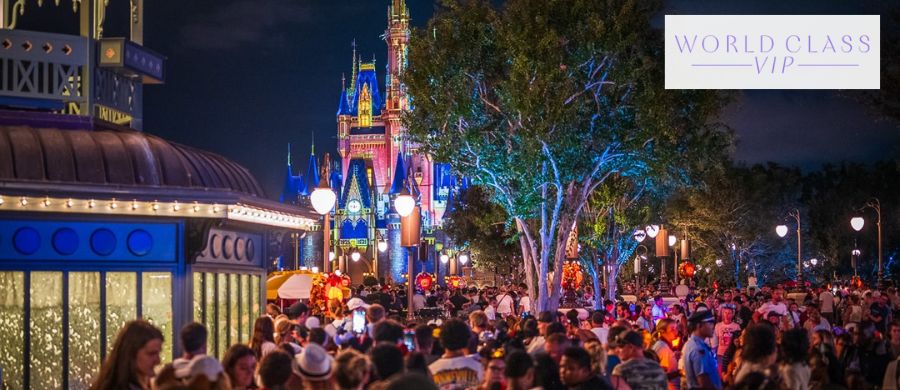 Virtual Disney VIP Tours: Enjoy the Parks During Busy Season