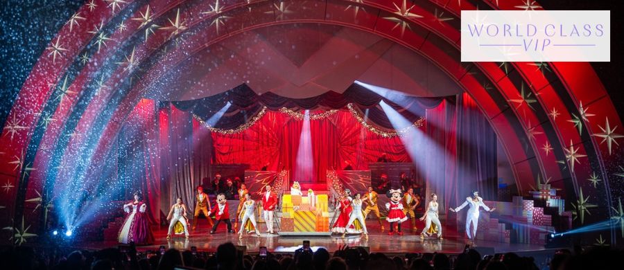 Virtual Disney VIP Tours: Plan a Winter Trip to Disney